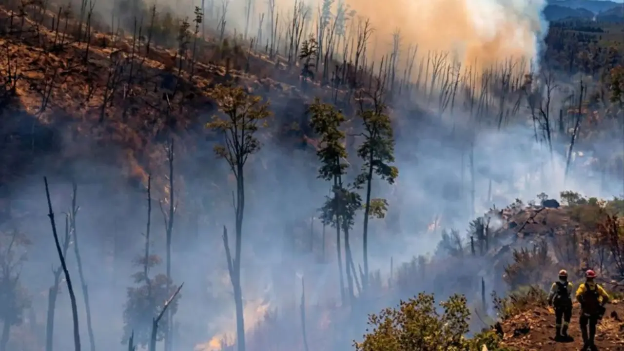 Incendios en Chubut: mejora la situación con el descenso de vientos y altas temperaturas