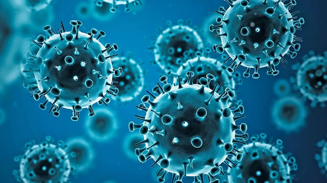 Virus