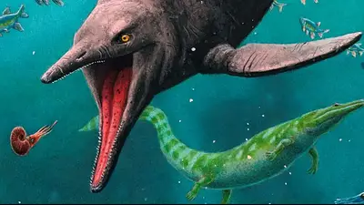 Descubren 30.000 fósiles en una isla del Ártico que conforman un ecosistema de reptiles marinos Descubren 30.000 fósiles en una isla del Ártico que conforman un ecosistema de reptiles marinos