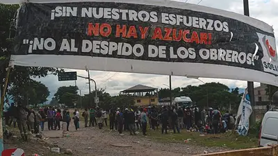 Despidos en Jujuy: trabajadores de Ingenio Ledesma denunciaron "persecución sindical" de Sadir Despidos en Jujuy: trabajadores de Ingenio Ledesma denunciaron "persecución sindical" de Sadir