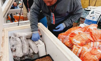 ALERTA por milanesas hechas con papel higiénico y cartón en Santiago del Estero | Salud
