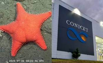 El Conicet ganó el Martín Fierro de Oro en los premios del Streaming | Televisión 