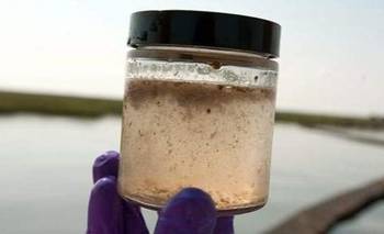 Qué es el arsénico en el agua que aparece en muchas localidades de la Argentina | Salud