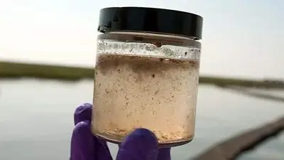 Qué es el arsénico en el agua que aparece en muchas localidades de la Argentina: por qué es un riesgo para la salud Qué es el arsénico en el agua que aparece en muchas localidades de la Argentina: por qué es un riesgo para la salud