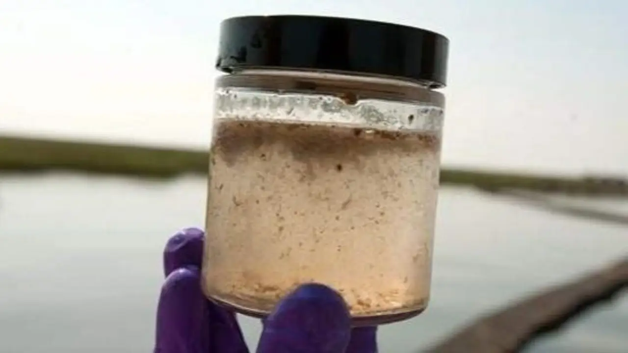 Qué es el arsénico en el agua que aparece en muchas localidades de la Argentina: por qué es un riesgo para la salud