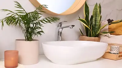 plantas en el baño. plantas en el baño.