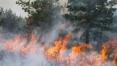 Incendios en Chubut: registran lluvias y nieve pero los focos siguen activos en la Patagonia Incendios en Chubut: registran lluvias y nieve pero los focos siguen activos en la Patagonia