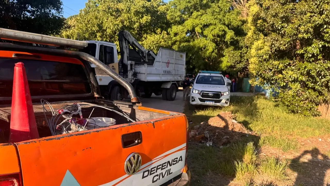 Qué dice la autopsia de la mujer que envenenó a 16 perros y 12 gatos y luego se quitó la vida