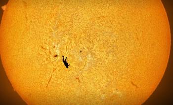 Las fotos científicas más increíbles de 2025 que te van a dejar sin palabras | Ciencia 