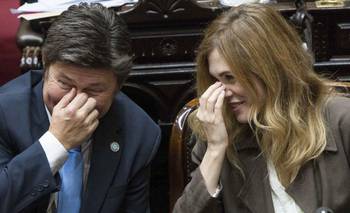 La trampa de LLA: el proyecto enfrenta tres leyes indispensables contra el ajuste | Cámara de diputados