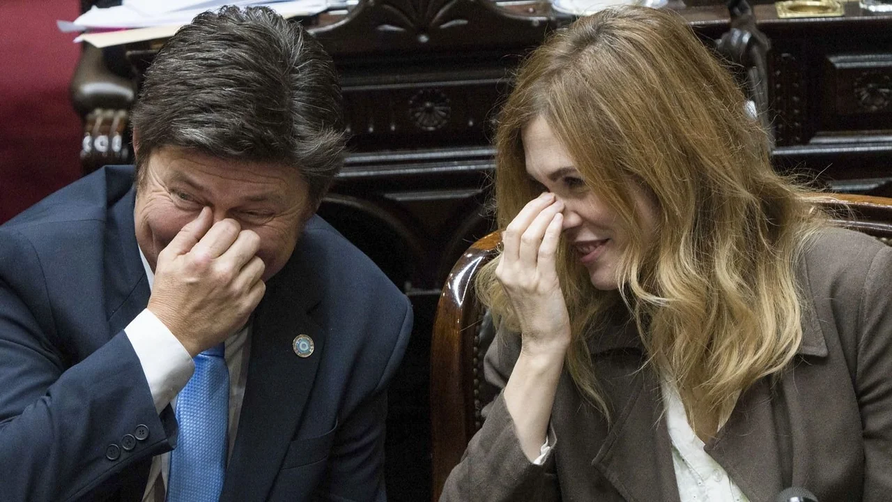 Emergencia sanitaria vs. discapacidad y universidades: la cruel trampa del Gobierno para enfrentar tres leyes en el Presupuesto