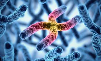 Desarrollaron en el Garrahan un inédito sistema que anticipa enfermedades raras | Salud