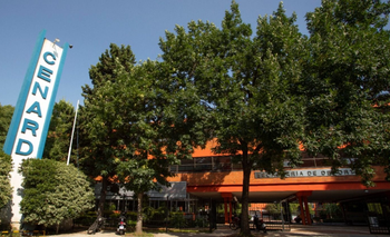 Milei profundiza el ajuste al deporte argentino con menos becas y motosierra a clubes | Presupuesto 2026