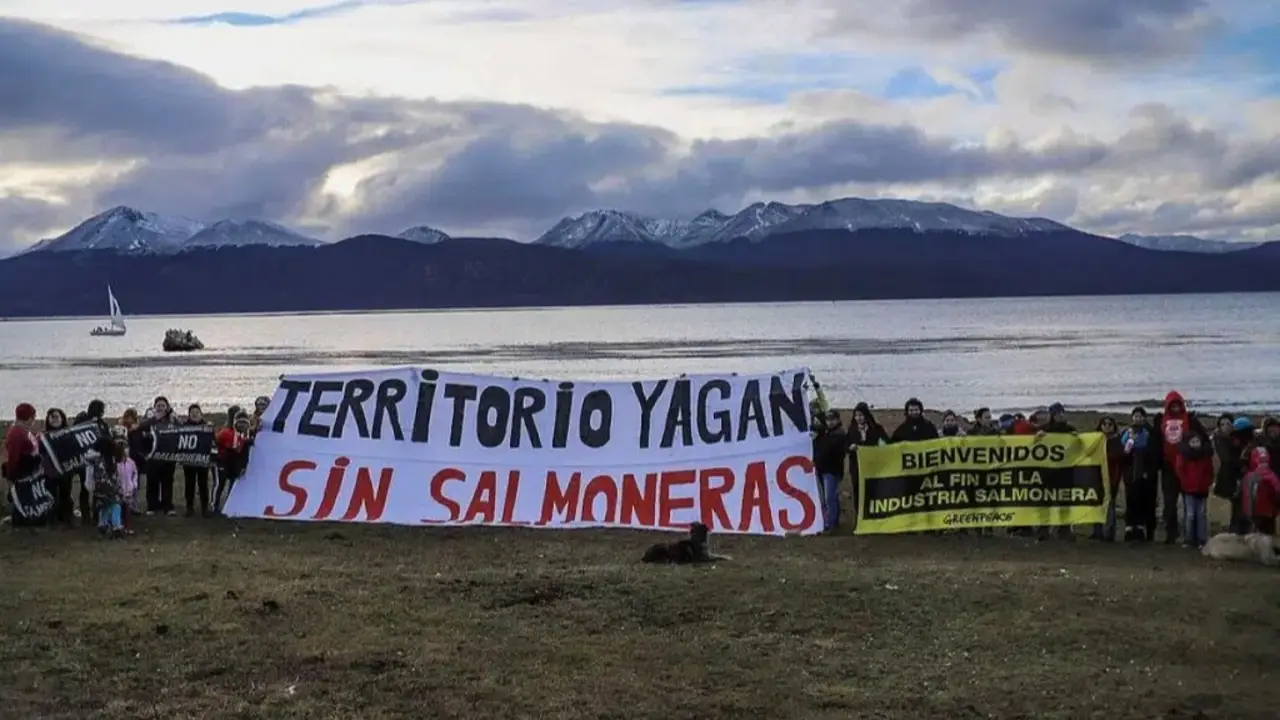 Greenpeace apuntó contra Melella y los legisladores que habilitaron las salmoneras: "Regresión ambiental"