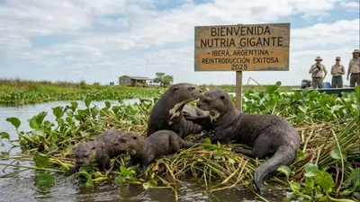 Recuperaron en Corrientes un animal que estaba extinto desde 1986 Recuperaron en Corrientes un animal que estaba extinto desde 1986