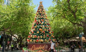 Provincia por provincia, el clima para Navidad 2025 | Navidad