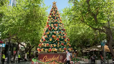 Árbol de Navidad Árbol de Navidad