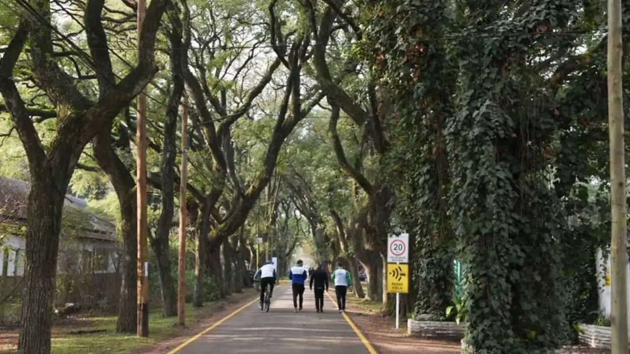 No es Cariló: la zona para visitar en el verano 2026 con bosque propio y buena gastronomía a solo 30 minutos de CABA 