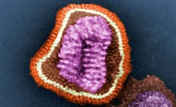 Gripe H3N2: un estudio español respondió cuántas vidas salva la vacuna | Salud