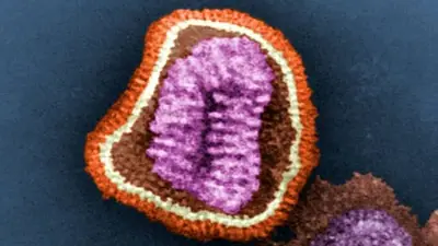 Gripe H3N2: un estudio español respondió cuántas vidas salva la vacuna contra la influenza actual Gripe H3N2: un estudio español respondió cuántas vidas salva la vacuna contra la influenza actual