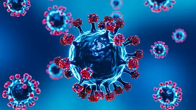 Chile reportó su primer caso de gripe K virus H3N2 y crece la preocupación en Argentina Chile reportó su primer caso de gripe K virus H3N2 y crece la preocupación en Argentina