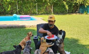 Cómo elegir el mejor lugar para dejar a tu perro o gato sin preocupaciones | Mascotas