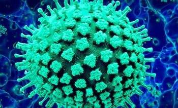 Un infectólogo advirtió sobre la gripe H3N2 en los próximos meses: "Circulará" | Gripe h3n2