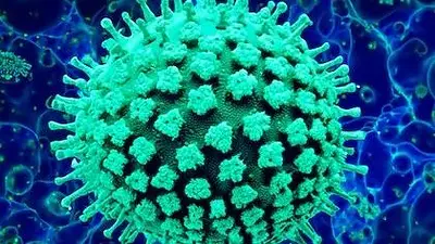 Un infectólogo advirtió sobre la gripe H3N2 para los próximos meses: "Circulará" Un infectólogo advirtió sobre la gripe H3N2 para los próximos meses: "Circulará"