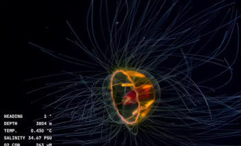Conicet: los asombrosos hallazgos en la nueva transmisión  | Conicet