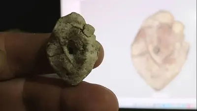 Es el primer dinosaurio registrado de Corrientes: descubren restos fósiles que revelan cómo era el nordeste argentino hace millones de años Es el primer dinosaurio registrado de Corrientes: descubren restos fósiles que revelan cómo era el nordeste argentino hace millones de años