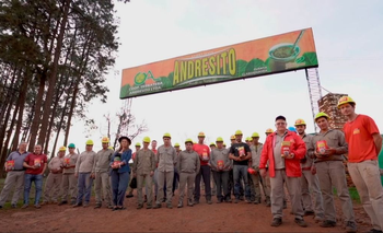 Histórica yerbatera anunció que no puede realizar pagos: "Hasta nuevo aviso" | Yerba mate