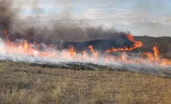 Brutal incendio en Bahía Blanca: más de 5.000 hectáreas fueron consumidas en 3 días | Bahía blanca