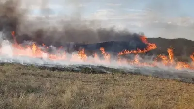 Brutal incendio en Bahía Blanca: más de 5.000 hectáreas fueron consumidas por el fuego en 3 días Brutal incendio en Bahía Blanca: más de 5.000 hectáreas fueron consumidas por el fuego en 3 días