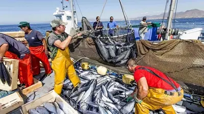 Crisis de la actividad marítima: desembarques pesqueros cayeron en Santa Cruz, Río Negro y Chubut Crisis de la actividad marítima: desembarques pesqueros cayeron en Santa Cruz, Río Negro y Chubut