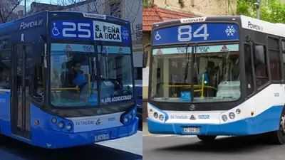 Colectivos de la línea 25 y 84 Colectivos de la línea 25 y 84
