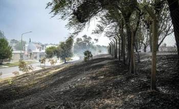 Terrenos del Ejército en Bahía Blanca fueron afectados por un incendio | Bahía blanca