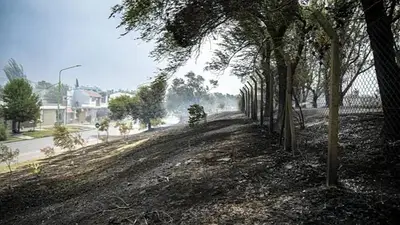 Terrenos del Ejército en Bahía Blanca fueron afectados por un incendio Terrenos del Ejército en Bahía Blanca fueron afectados por un incendio