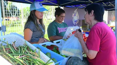 Formosa amplía la infraestructura productiva y fortalece su política de soberanía alimentaria: todos los detalles Formosa amplía la infraestructura productiva y fortalece su política de soberanía alimentaria: todos los detalles