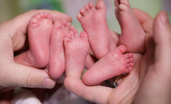 Nacieron trigemelas en Chubut: un caso cada un millón de embarazos | Salud