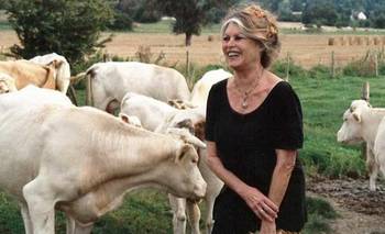 Lejos del cine y las alfombras rojas: así fueron los últimos años de Brigitte Bardot | Cine