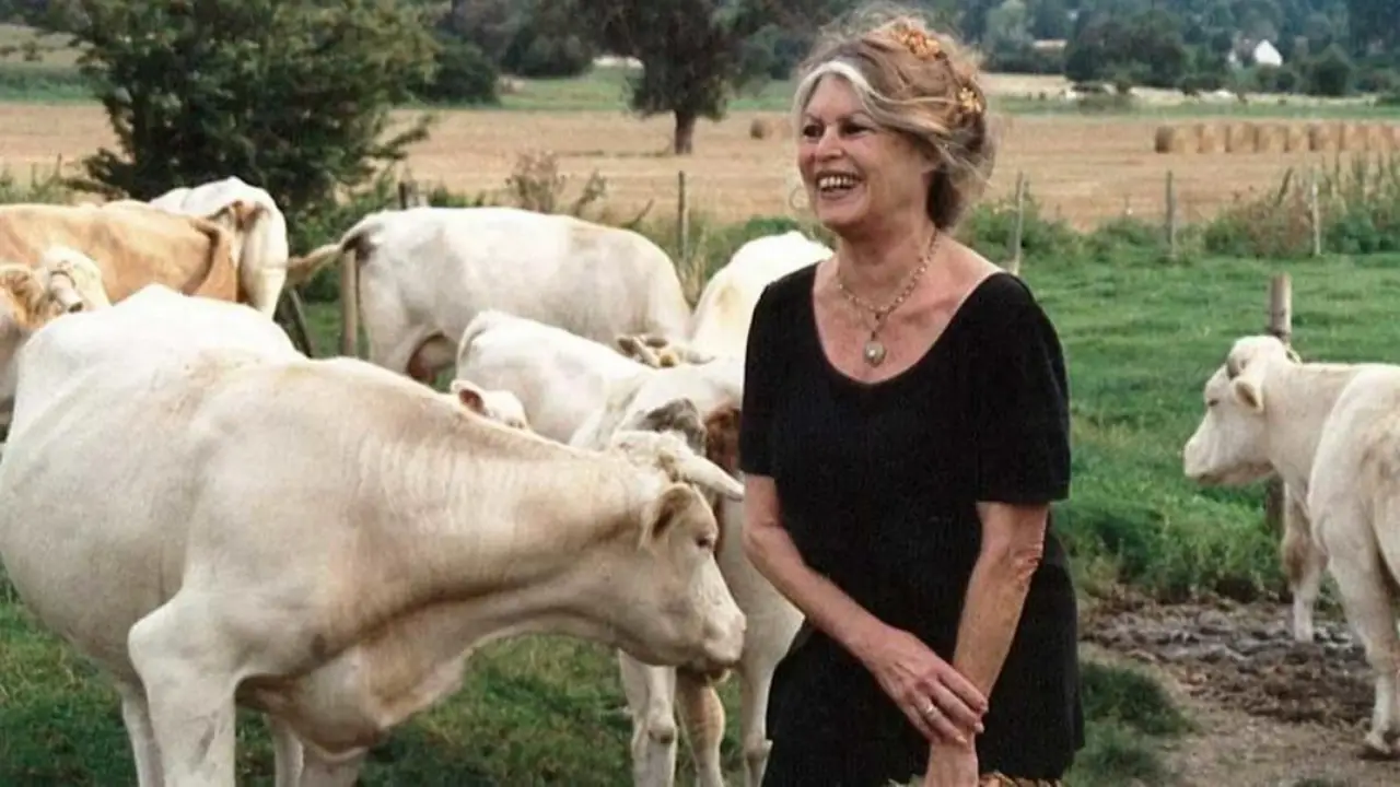 Cómo fueron los últimos años de Brigitte Bardot: su retiro definitivo del espectáculo, la creación de su fundación y la militancia animal que marcó su vida.