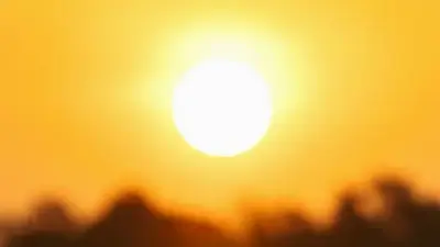 Sol Sol