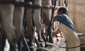 El sector lácteo de Santa Fe cierra el año en crisis: "Se desmoronó" | Caída del consumo