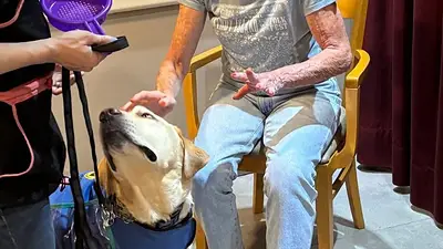 Perros que cambian vidas: la terapia que mejora el día a día de jubilados en CABA Perros que cambian vidas: la terapia que mejora el día a día de jubilados en CABA