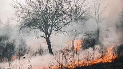 El fuego arrasa La Pampa y ya consumió más de 83 mil hectáreas El fuego arrasa La Pampa y ya consumió más de 83 mil hectáreas