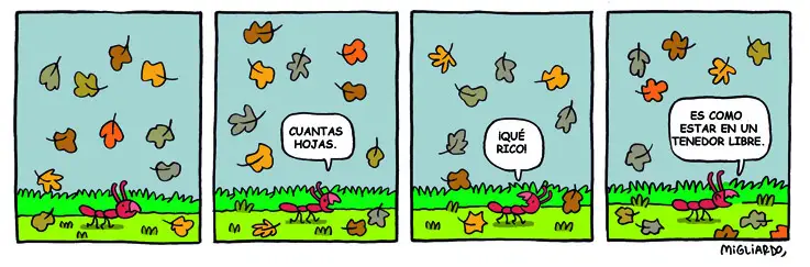 #244