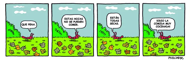 #246