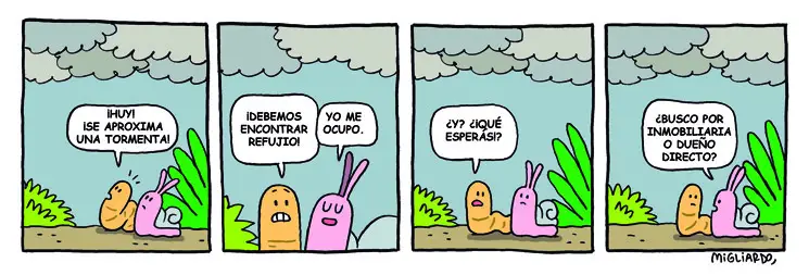 #247