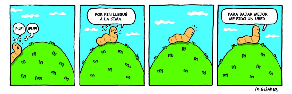 #261