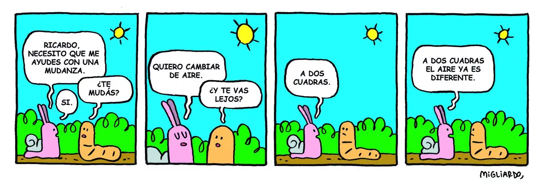 #264